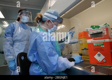 Techniker führen während der Eröffnung des neuen Covid-19-Testlabors am Queen Elizabeth University Hospital in Glasgow einen Probentransfer durch. Stockfoto