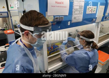 Techniker führen während der Eröffnung des neuen Covid-19-Testlabors am Queen Elizabeth University Hospital in Glasgow einen Probentransfer durch. Stockfoto