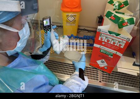 Techniker führen während der Eröffnung des neuen Covid-19-Testlabors am Queen Elizabeth University Hospital in Glasgow einen Probentransfer durch. Stockfoto