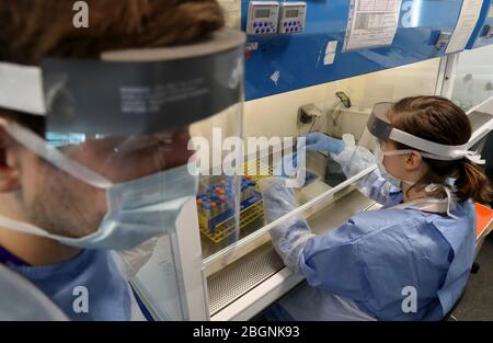 Techniker führen während der Eröffnung des neuen Covid-19-Testlabors am Queen Elizabeth University Hospital in Glasgow einen Probentransfer durch. Stockfoto