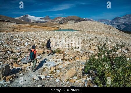 Wanderer auf dem Islandpfad, Glacier des Poilus in weiter Ferne, Kanadische Rockies, Yoho Nationalpark, British Columbia, Kanada Stockfoto