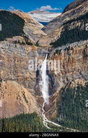 Takakkaw Falls unterhalb des Waputik Icefield in der Waputik Range, Blick vom Iscine Trail, Canadian Rockies, Yoho National Park, British Columbia, Kanada Stockfoto