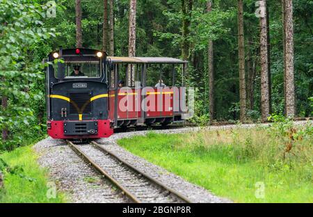 Besuch des Freilichtmuseums für die Geschichte des ländlichen Lebens. Salzburg, Österreich Stockfoto