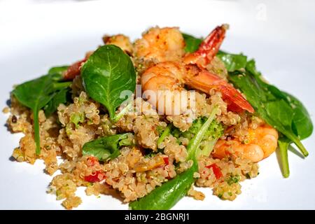 Bunte Garnelen Spinat Quinoa Salat auf einem weißen Teller Stockfoto