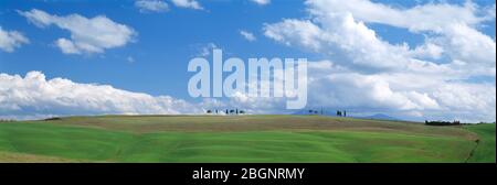 Italien. Toskana. Blauer Himmel über grünen Hügeln. Stockfoto