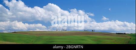 Italien. Toskana. Blauer Himmel über grünen Hügeln. Stockfoto
