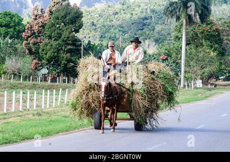 Pferdekutsche in Vinales, einer malerischen Stadt in der Provinz Pinar del Río in Kuba. Stockfoto