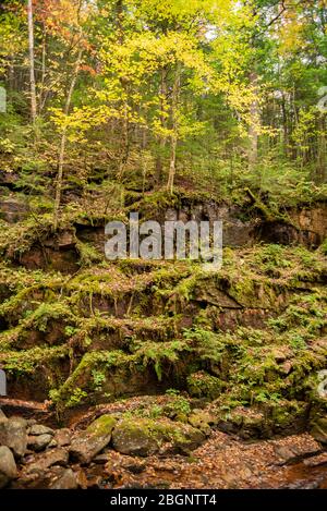 Flume Schlucht im Franconia Notch State Park Stockfoto