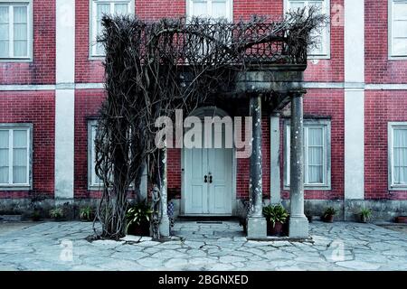 Fassade eines verlassenen Gebäudes mit einem Baum ohne Blatt ohne Blätter am Eingang, Sintra, Lissabon, Portugal Stockfoto