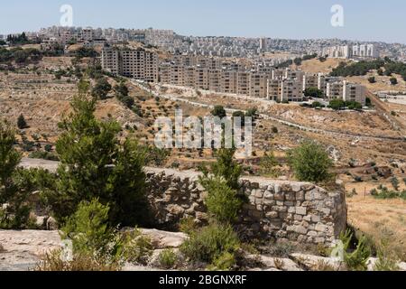 Palästina, Bethlehem, Felder in den Hügeln um das moderne Bethlehem, wo alte Schäfe ihre Herden weideten. Besetzte Gebiete des Westjordanlandes. Der israelische Grenzzaun ist auf dem Bild vor dem Wohnkomplex zu sehen. Stockfoto