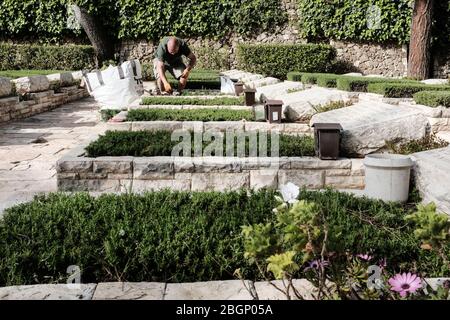 Jerusalem, Israel. April 2020. Ein Gärtner berührt die Gräber der Gefallenen am Mt. Herzl Militärfriedhof vor dem Memorial Day, der am 28. April 2020 begangen wird, da die Regierung am Memorial Day und am folgenden Independence Day eine landesweite totale Sperre ankündigt, wobei alle Zeremonien und Feiern abgesagt werden, um die Ausbreitung der COVID-19 weiter einzudämmen. Quelle: Nir Alon/Alamy Live News Stockfoto