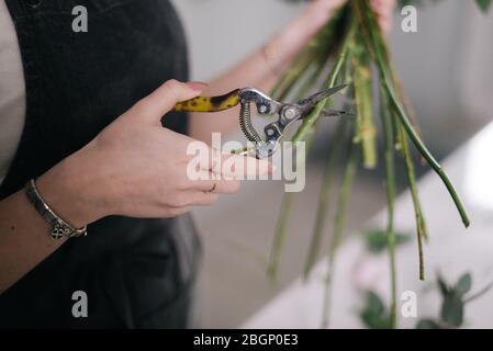 Nahaufnahme von Frau Floristen Hände Schneiden Stamm von Blumen mit Schere auf weißem Hintergrund. Stockfoto