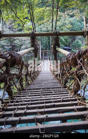 Die Iya Kazurabashi Vine Bridge aus Actinidia arguta (und Stahlseil) in Tokushima, Shikoku Japan Stockfoto