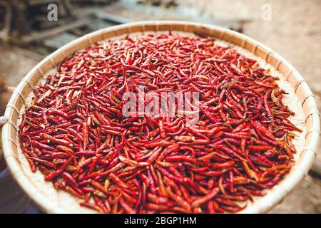 Würzige Chili-leuchtend rote getrocknete Chilischoten im Korb Stockfoto