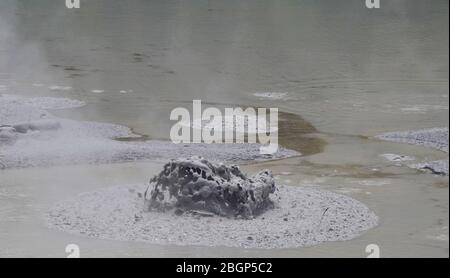 Schlammblasen aus Vulkanausbruch am Schlammpool Wai-O-Tapu Neuseeland Stockfoto