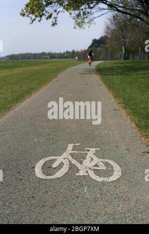 Radweg in Phoenix Park, Dublin City, Irland. Stockfoto