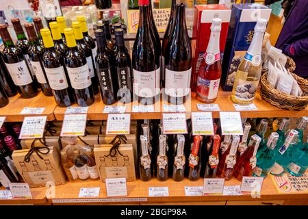 Der Spirituosenladen im See Kawaguchiko Sightseeing Busbahnhof mit vielen Arten von Geschäften und Restaurants. Kawaguchiko Stadt, Japan Februar 9,2020 Stockfoto