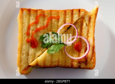Ein Sandwich in einer weißen Keramikplatte Stockfoto