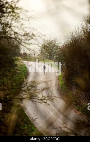 Radfahren im Wald von Dean Stockfoto