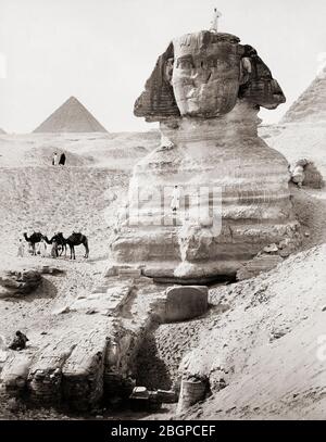 Die Große Sphinx, Gizeh, Ägypten. Nach einem Werk des syrisch-armenischen Fotografen Jean Pascal Sebah aus dem späten 19. Jahrhundert, 1872 - 1947. Stockfoto