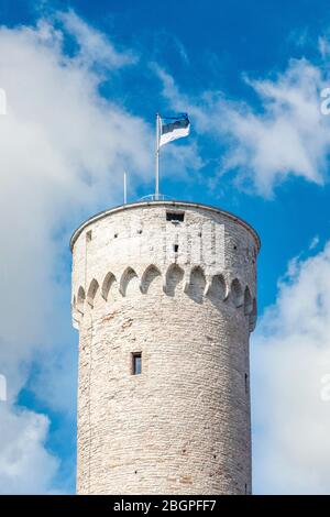 Pikk Hermann (großer Hermann) ist ein Turm des Toompea Schlosses, Tallinn, Estland Stockfoto