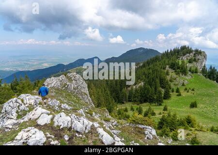 Wandern in den schönen Karpaten von Rumänien Stockfoto