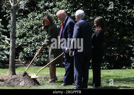 Washington, DC, USA. April 2020. Von links nach rechts: First Lady Melania Trump; US-Präsident Donald J. Trump, US-Vizepräsident Mike Pence und die zweite Dame Karen Pence nehmen an einer Zeremonie Teil, um einen Baum zur Feier des Earth Day und des Arbor Day auf dem South Lawn des Weißen Hauses in Washington, DC, USA, 22. April 2020 zu Pflanzen.Quelle: Michael Reynolds/Pool via CNP Credit: dpa/Alamy Live News Stockfoto