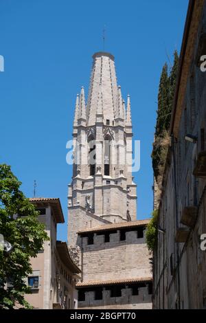 Die Stiftskirche Sant Felix aka Basílica de Sant Feliu in Girona, Katalonien, Spanien, Europa Stockfoto