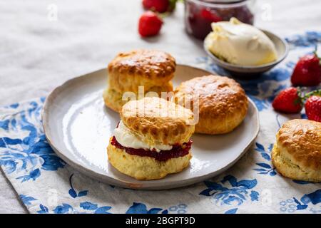 Frisch gebackene hausgemachte Scones mit strawbery Marmelade und geröstete Sahne Stockfoto