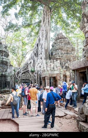 Touristen wandern zwischen den alten Tempeln von Angkor Wat, Kambodscha. Stockfoto