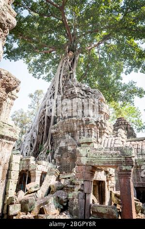 Blick auf den unglaublichen Angkor Wat Tempel in der Nähe von Siem Reap in Kambodscha. Stockfoto