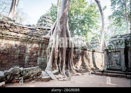 Blick auf den unglaublichen Angkor Wat Tempel in der Nähe von Siem Reap in Kambodscha. Stockfoto