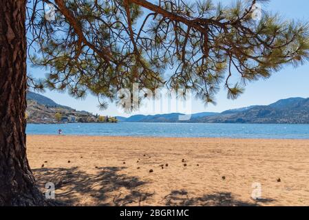 Blick auf den Sandstrand, den See, die Berge und den blauen Himmel, eingerahmt von alten Kiefern Stockfoto