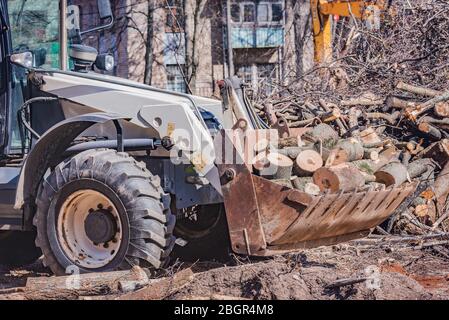 Abgesägt Abschnitte von dicken runden Baumstämmen in der Traktoreimer auf der Baustelle. Stockfoto