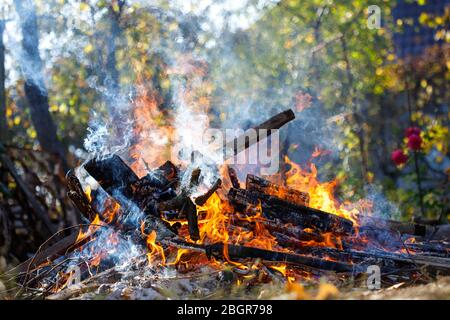 Großes verrauchtes Lagerfeuer im Garten. Stockfoto