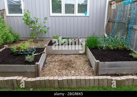 Teil der Grow Your Own Food Trend, dieser Garten Gemüsegarten im Hinterhof enthält große Hochbeete für den Anbau von Gemüse und Kräutern den ganzen Sommer. Stockfoto