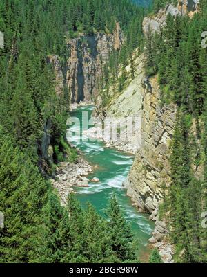 south Fork Flathead River in einem Canyon über hungrigen Pferdestausee, montana Stockfoto