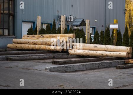Die hölzernen Balken auf dem Sägewerk, vorbereitet, auf der Schneide zu sägen. Holzwirtschaft. Ein Haufen von Baumstämmen liegt auf einer Plattform. Bearbeitung von Holz im Sägewerk. Stockfoto