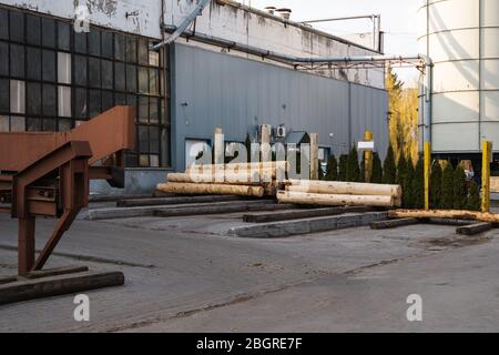 Die hölzernen Balken auf dem Sägewerk, vorbereitet, auf der Schneide zu sägen. Holzwirtschaft. Ein Haufen von Baumstämmen liegt auf einer Plattform. Bearbeitung von Holz im Sägewerk. Stockfoto