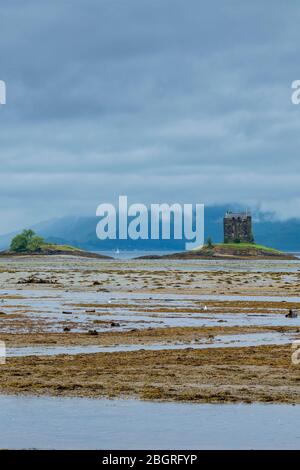 Das Stalker Castle aus dem 15. Jahrhundert ist ein Turmhaus und das Wattmeer von Loch Laich in Appin, Argyll, Schottland. Jenseits ist Loch Linnhe, Stockfoto