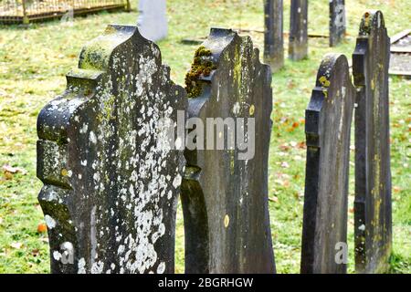 Friedhof im Herbst. Nahaufnahme von alten verwitterten Grabsteinen, die mit weißen Flechten auf einem grünen Feld bedeckt sind. Stockfoto