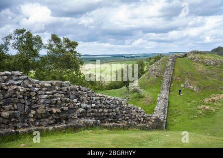 Touristischer Wanderhund am Hadrian's Wall, Blocksteinbaugrenze im Northumberland National Park in Walltown Crags, England Stockfoto