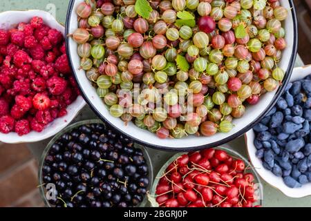 Sommer Beeren Hintergrund, Stachelbeeren, schwarze Johannisbeere, Berberitze in Schüssel, gesunde Bio-hausgemachten Vitaminen essen Stockfoto