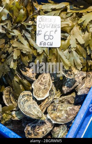 Jersey European Oysters, Ostrea edulis und Seetang auf dem St Helier Fish Market in Jersey, Channel Isles Stockfoto