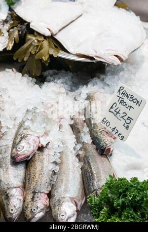 Fresh Rainbow Forut, Oncorhynchus mykiss, im Verkauf auf St Helier Fish Market in Jersey, Channel Isles Stockfoto