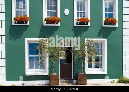 Elegantes Haus am Hafen mit zwei Olivenbäumen und Geranien in Fensterboxen am Meer in Gorey, Jersey, Channel Isles Stockfoto