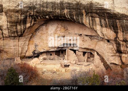 CO00228-00...COLORADO - Klippenwohnungen der Vorfahren Pueblo Volk genannt Eiche Baum Haus in Fewkes Canyon, Mesa Verde Nationalpark. Stockfoto