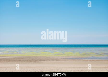 Algen bilden geometrische Formen am Sandstrand in St Aubin's Bay, Jersey, Channel Isles Stockfoto