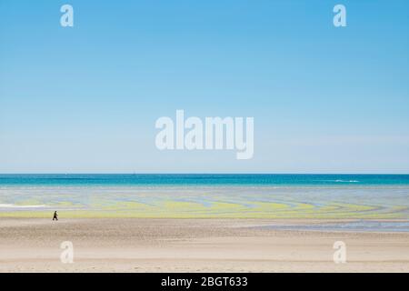 Einsitzende Wanderer und Algen bilden geometrische Formen am Sandstrand mit Ceruleanhimmel an der St Aubin's Bay, Jersey, Channel Isles Stockfoto