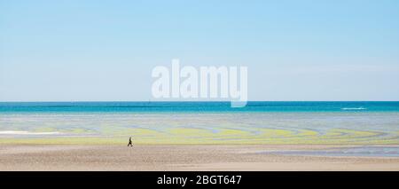 Einsitzende Wanderer und Algen bilden geometrische Formen am Sandstrand mit Ceruleanhimmel an der St Aubin's Bay, Jersey, Channel Isles Stockfoto